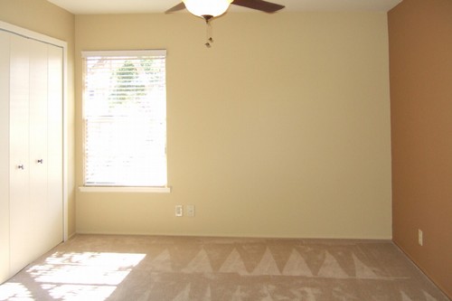 accent wall and ceiling fan in master