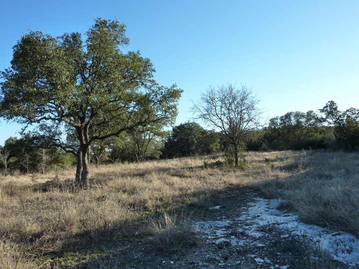 view south from the street of the east side of the lot