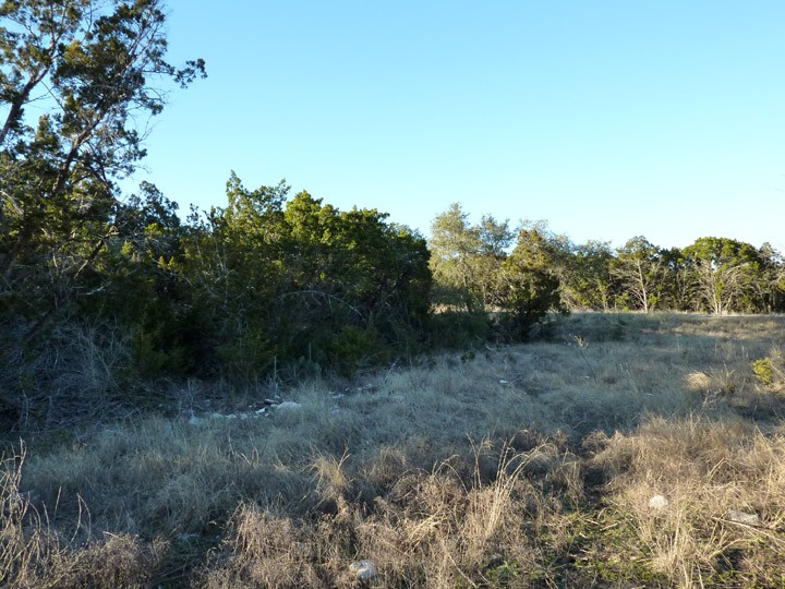 view from the street of the west side of the lot