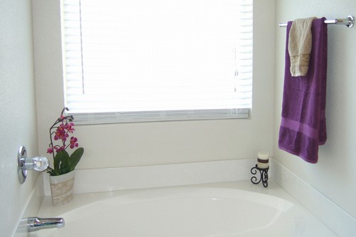 garden tub is next to separate shower