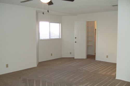 master bedroom with sitting area and large walk-in closet