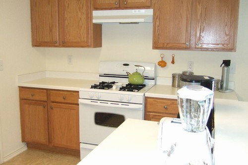gas range plus lots of counter and cabinet space