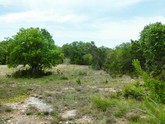 property listing