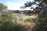 property listing